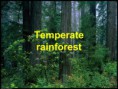 /album/photo-gallery-bioctic-factors/temperate-rainforest-jpg1/
